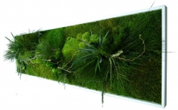 Nature Panoramique XL